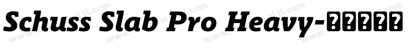 Schuss Slab Pro Heavy字体转换